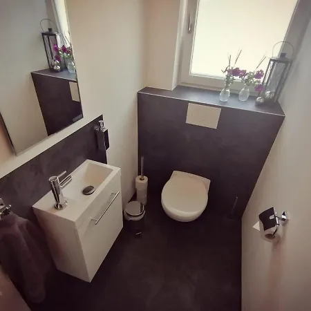 Oberkofler * 米特西尔